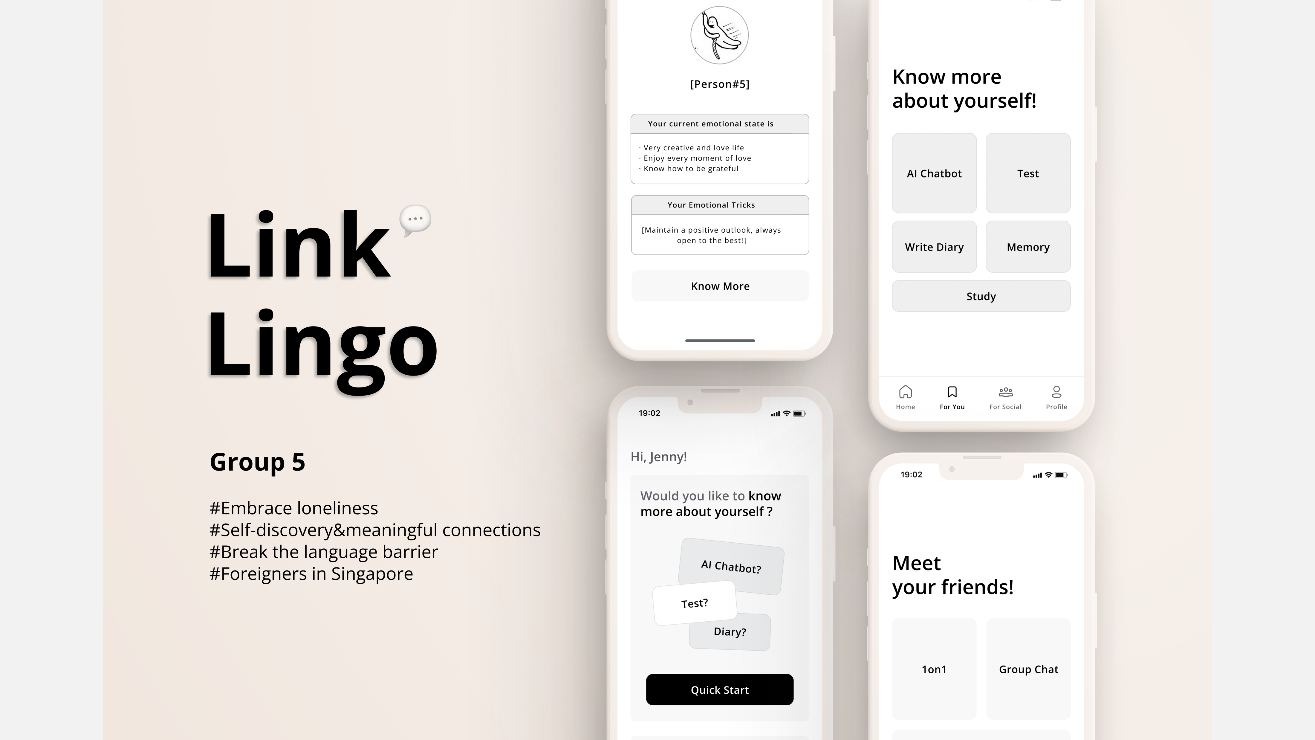 CDE5301-LinkLingo CDE5301-LinkLingo