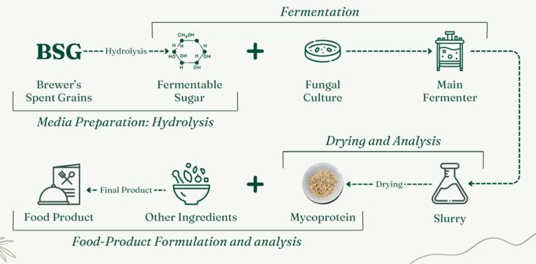 Myco-genesis: transforming Singapore’s food side streams into ...