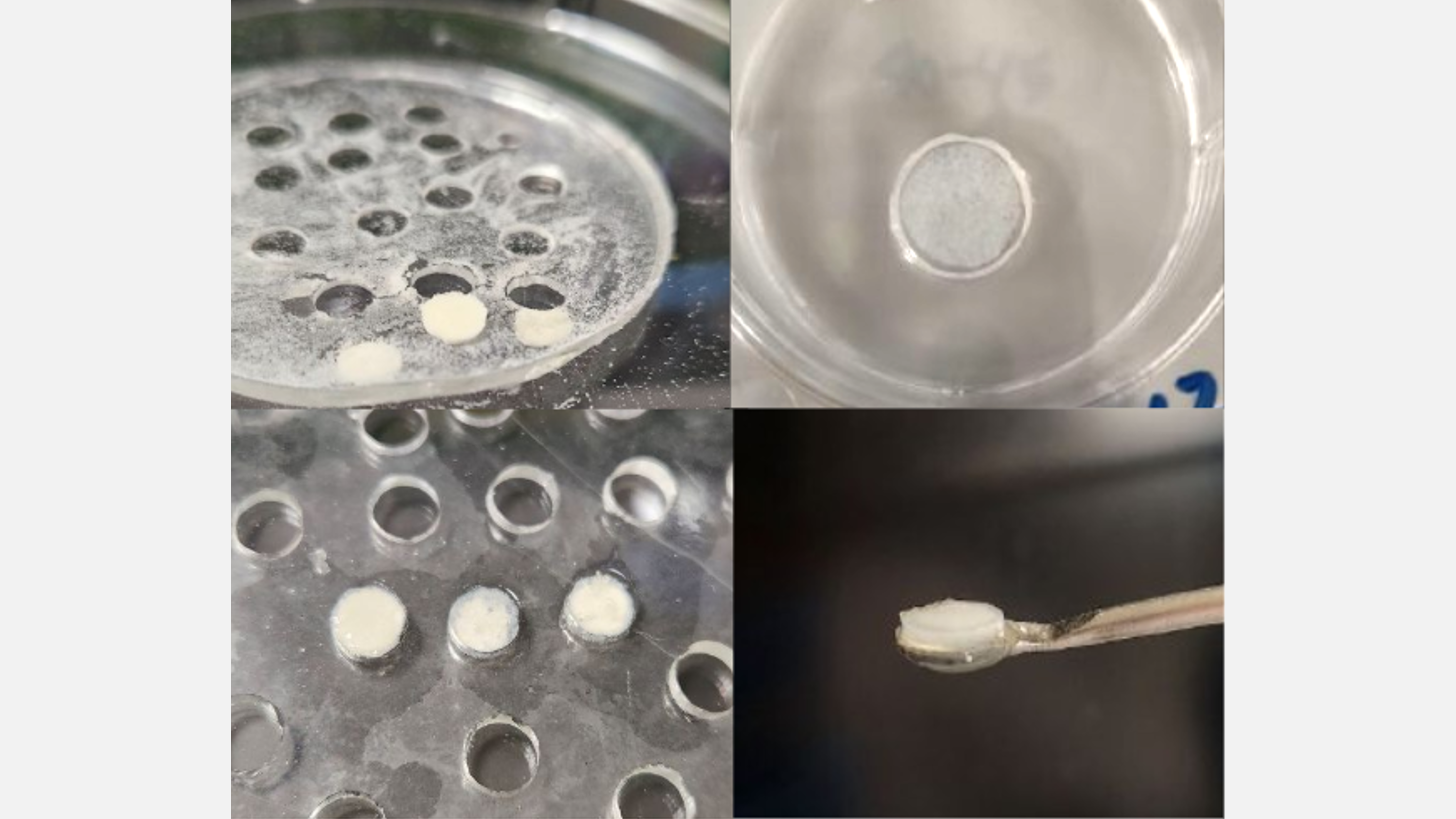 CDE4301-tunable-hydrogel-upload CDE4301-tunable-hydrogel-upload