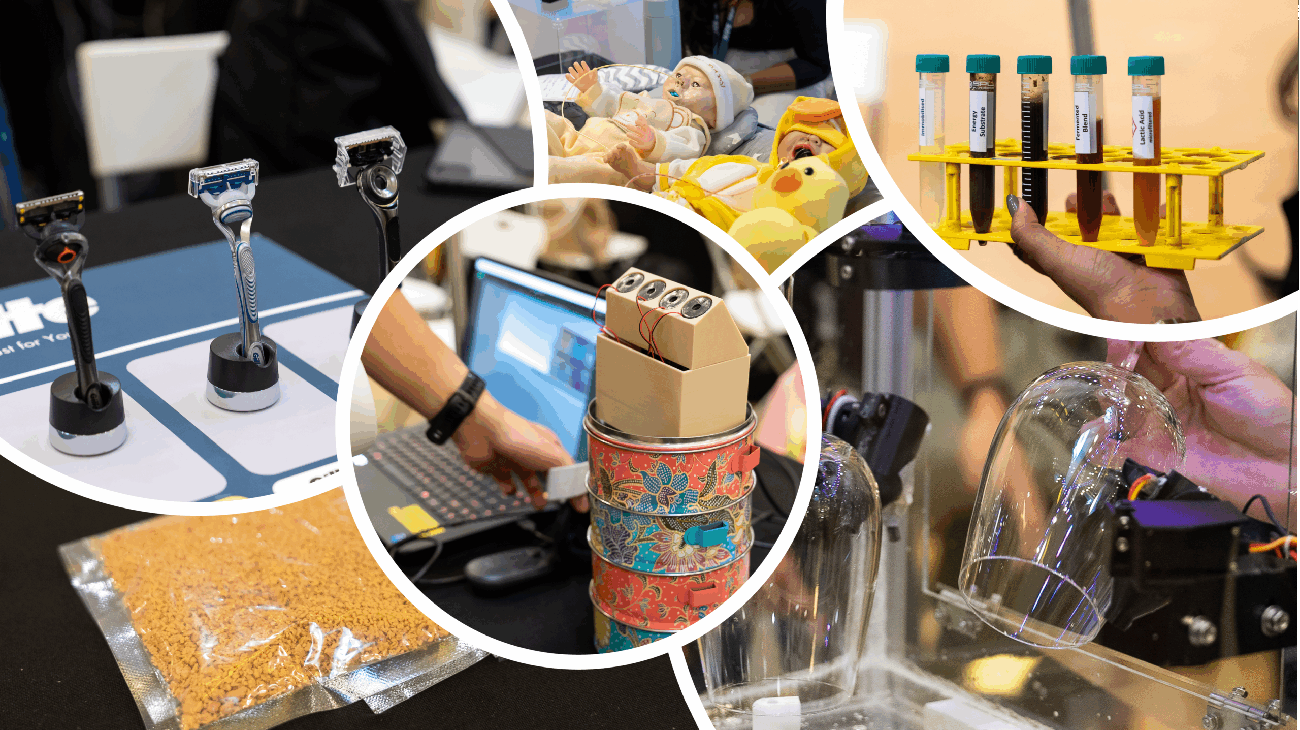 CDE3301-Project-Fair-2025-collage