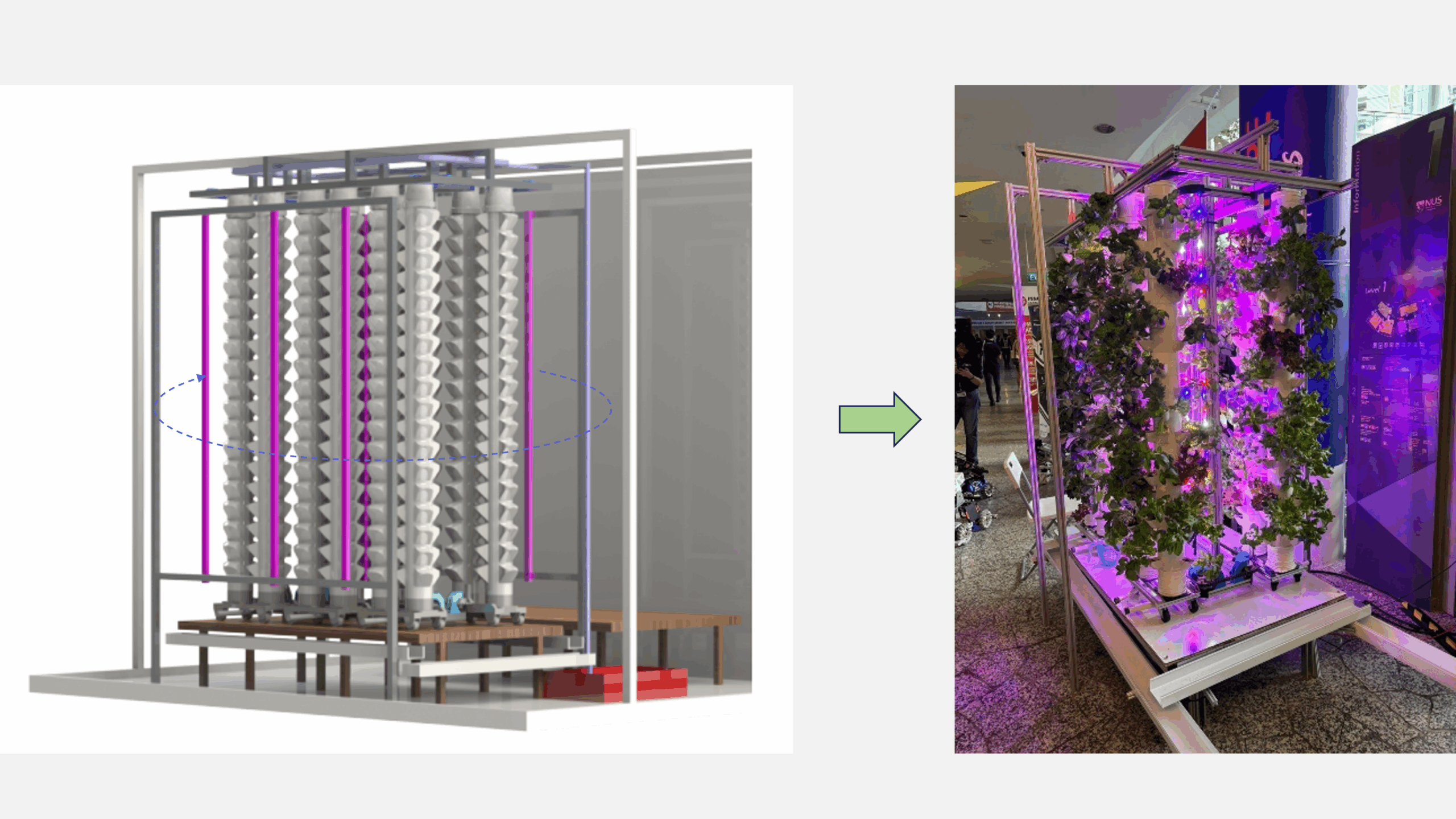 Demeter-technologies-vertical-farm