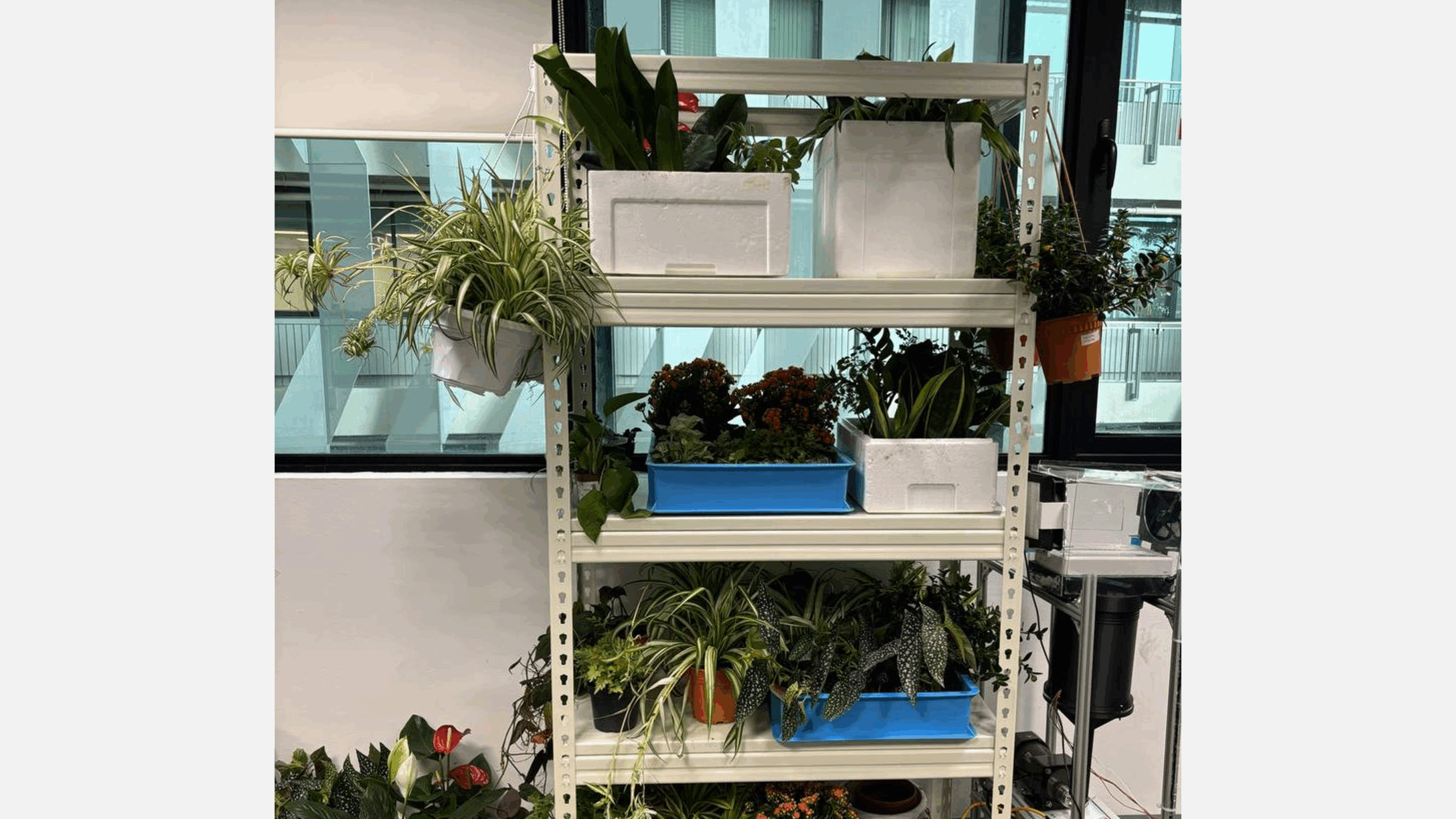 IS-405-living-filter