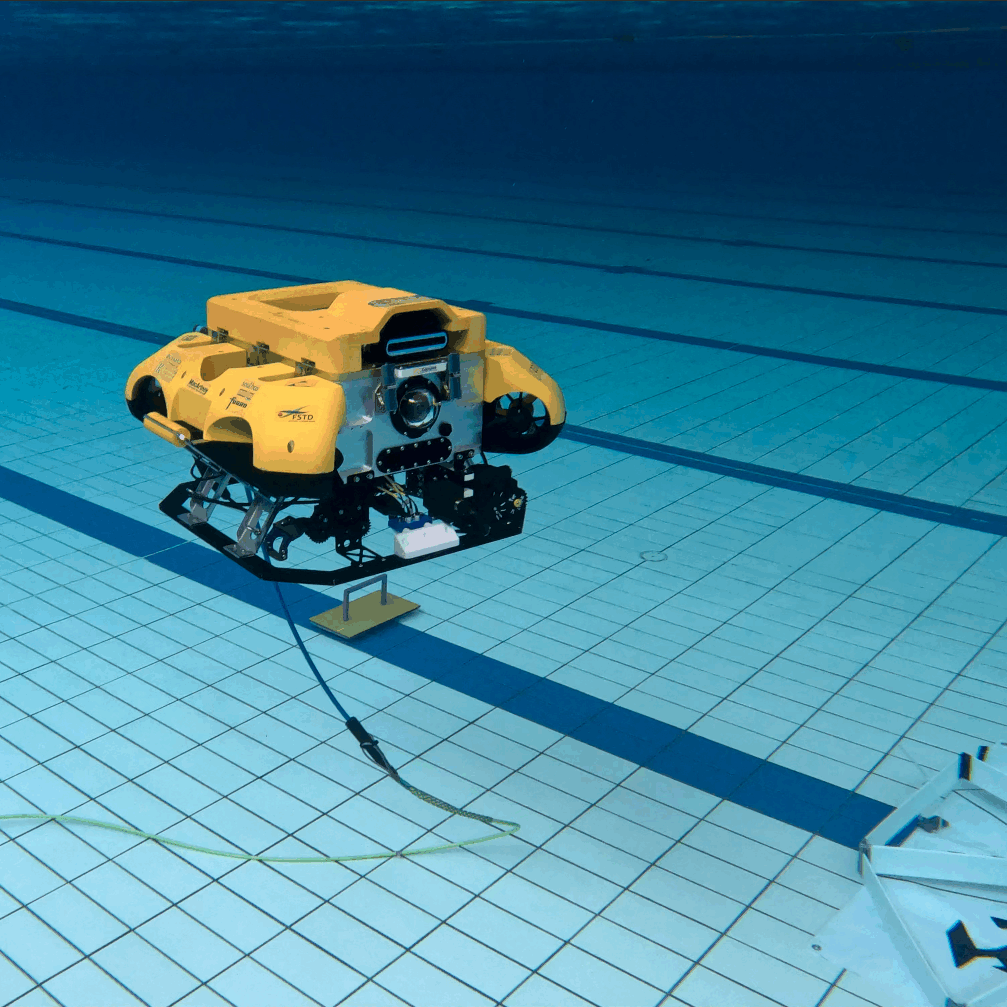 BumblebeeAUV-resized