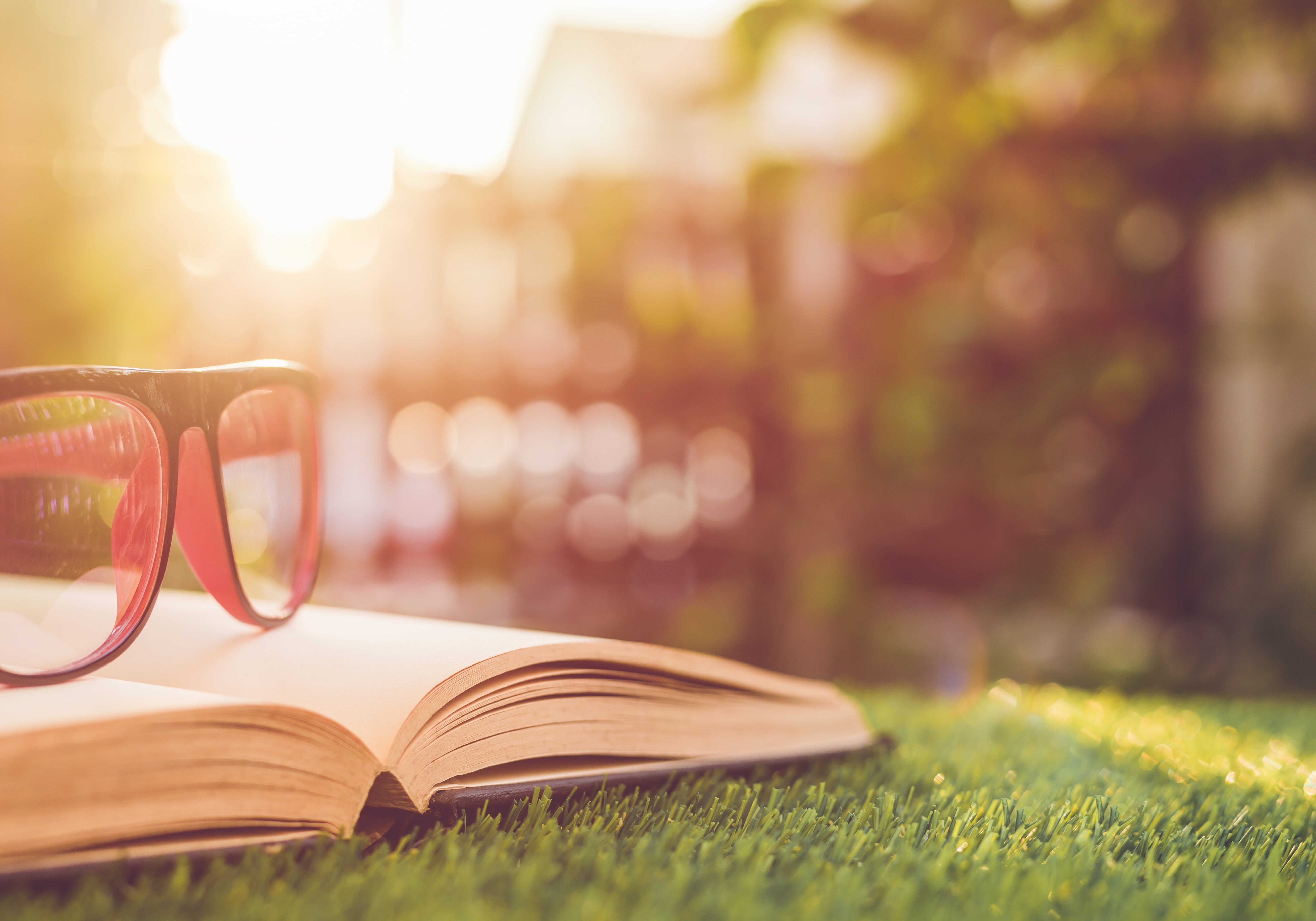 Shutterstock 589292999