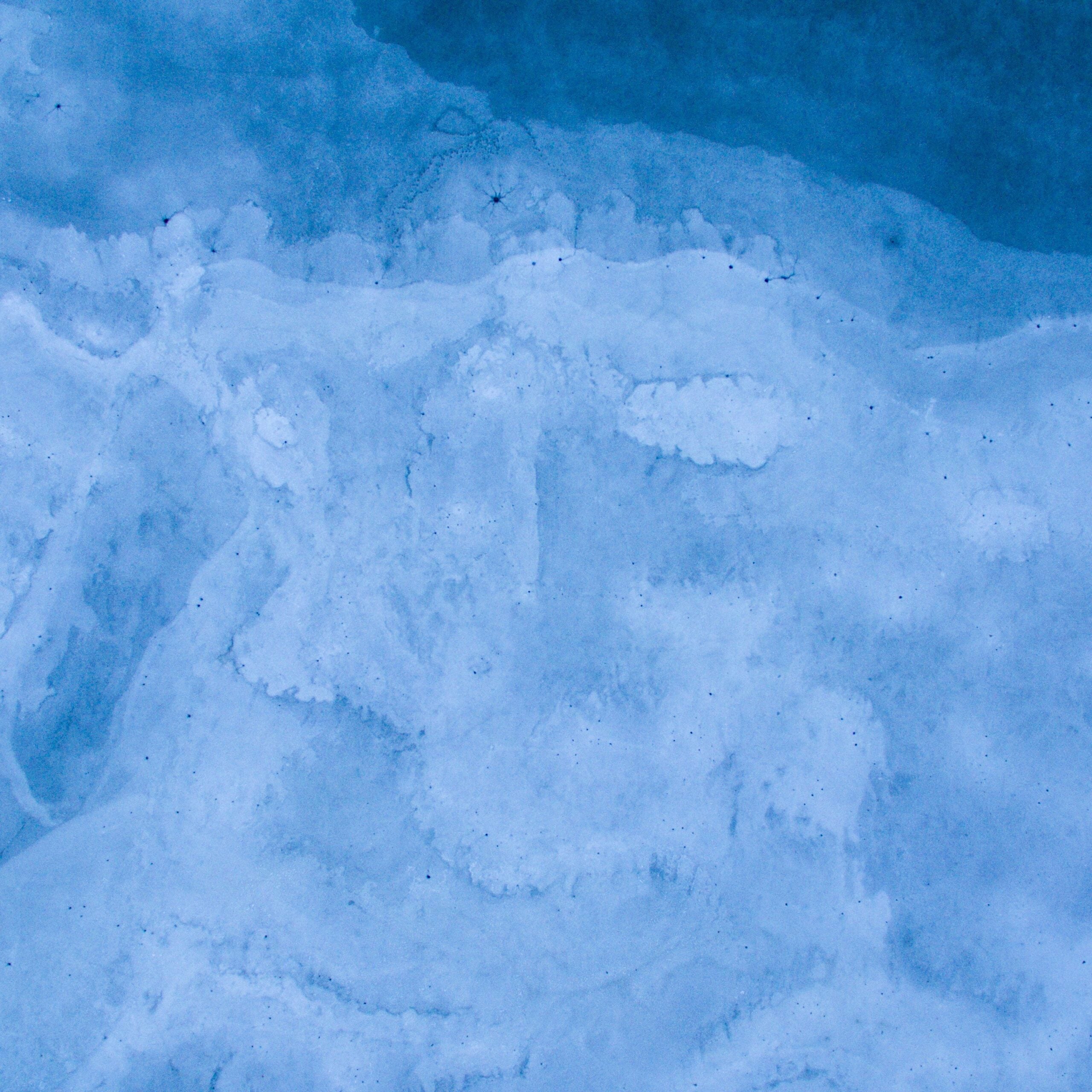 aaron-burden-qJrg0ANseFE-unsplash