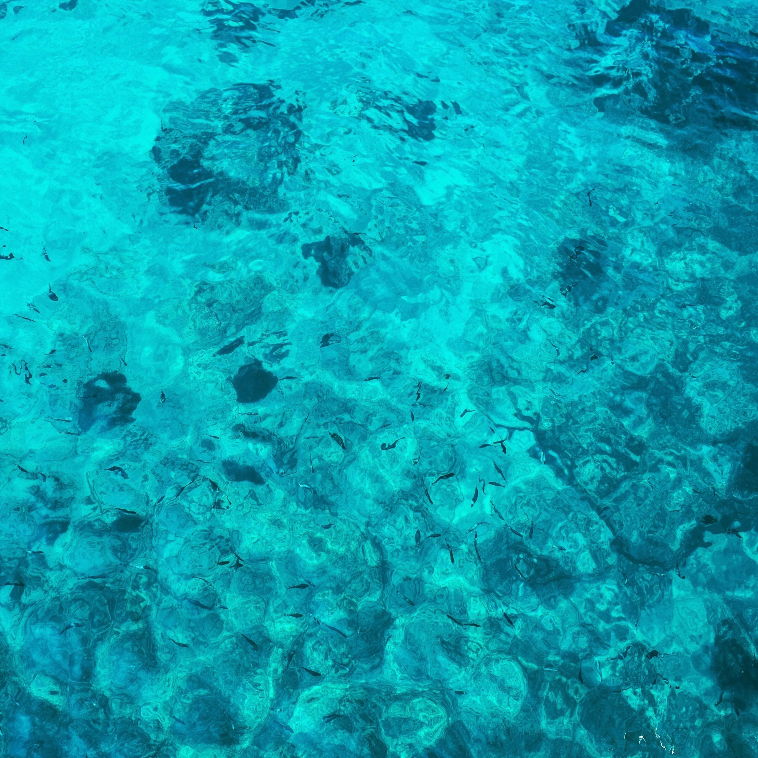 orimi-protograph-j3dSKQ-QoA0-unsplash