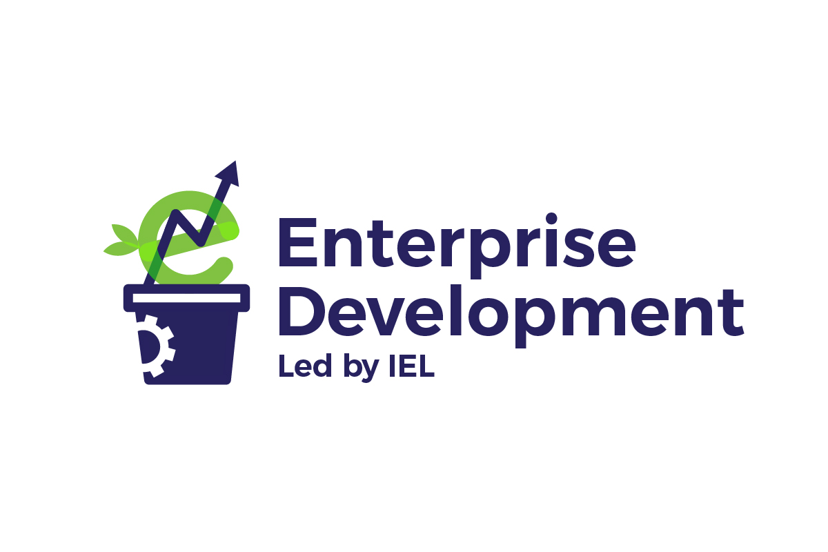 Enterprise Development
