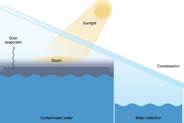 water harvesting