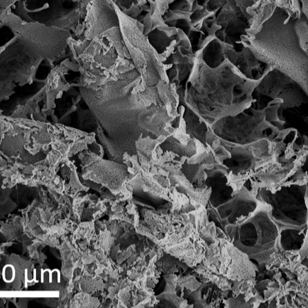 Hydrogel