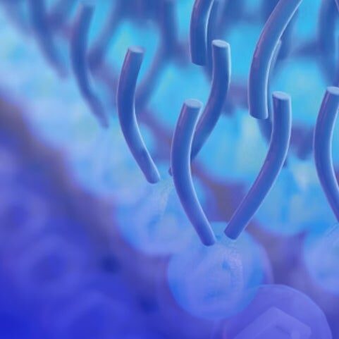 operando imaging-guided materials design