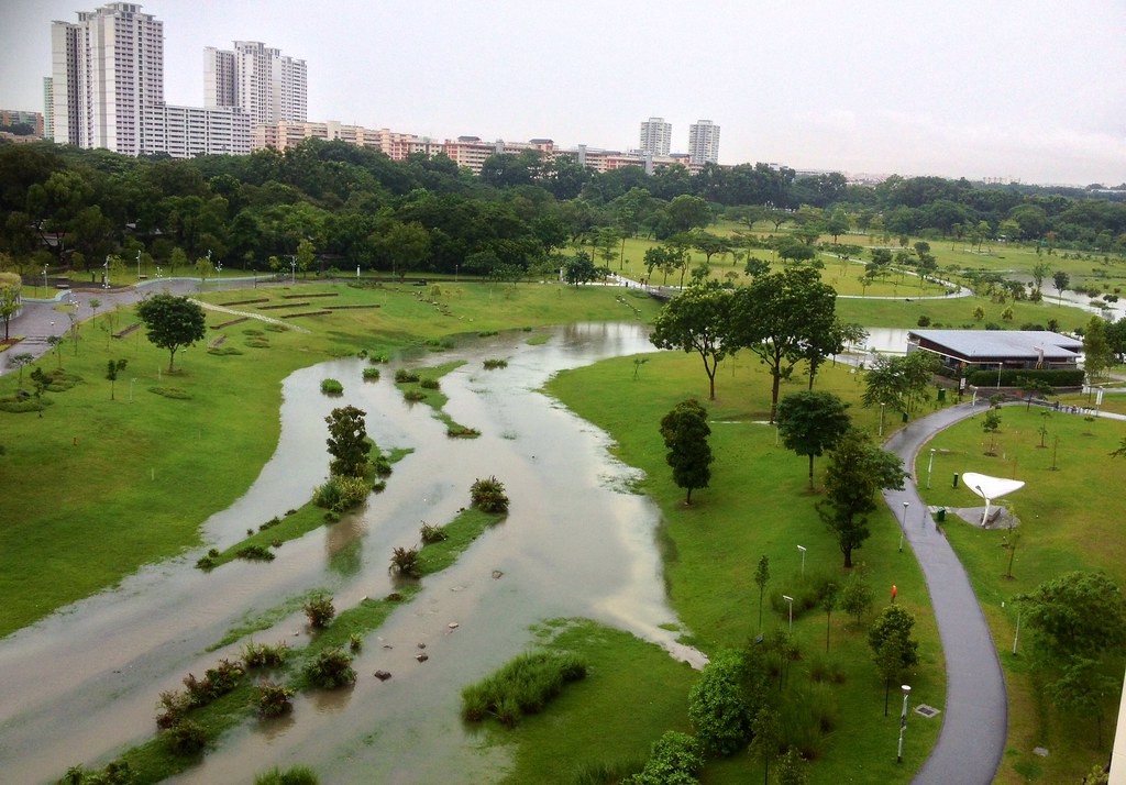 Image Credit: "Bishan-Ang Mo Kio Park, Singapore" by Jimmy Tan, used under CC BY 2.0 DEED