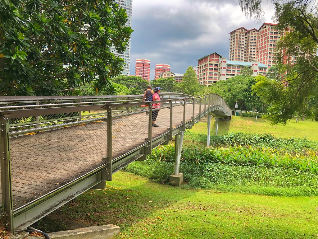 Image Credit: "Bishan - Ang Mo Kio Park" by cattan2011, used under CC BY 2.0 DEED