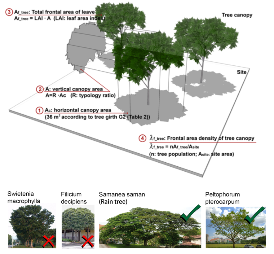 Figure 4.  Modelling of the drag force of urban trees on air flow, and suggestions on tree species to minimise the negative effect of trees on air flow [9]. 