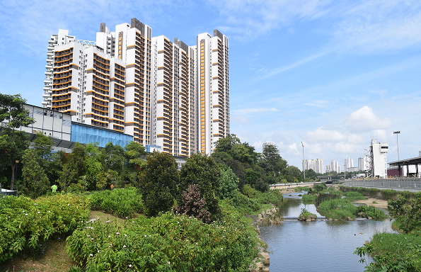 Rectangle 129 Image Credit: NUS Cities / TK Bean
