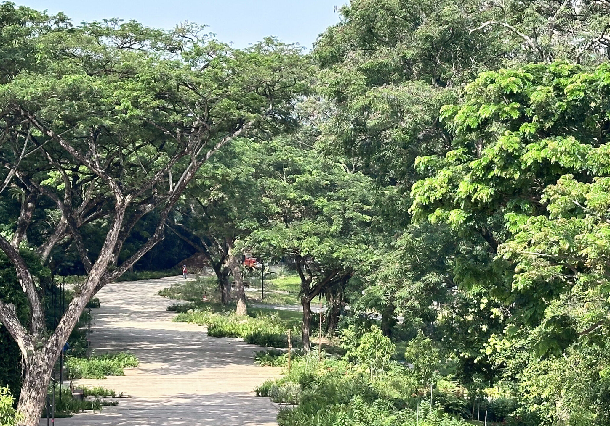 Bidadari Heritage Walk. Image Credit: Fong Chun Wah