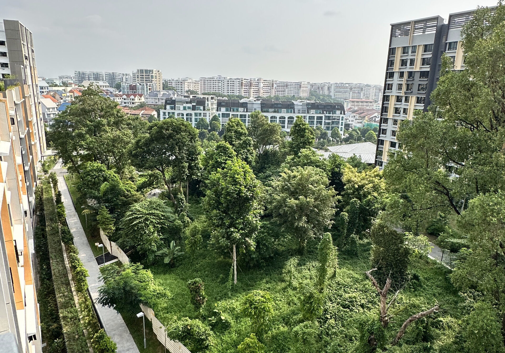 Hillock leading to Bidadari Park through residential flats. Image Credit: Fong Chun Wah