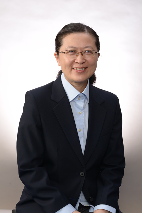 Professor Liu Bin,
Department of Chemical and Biomolecular Engineering,
Scientific Area: Materials Science