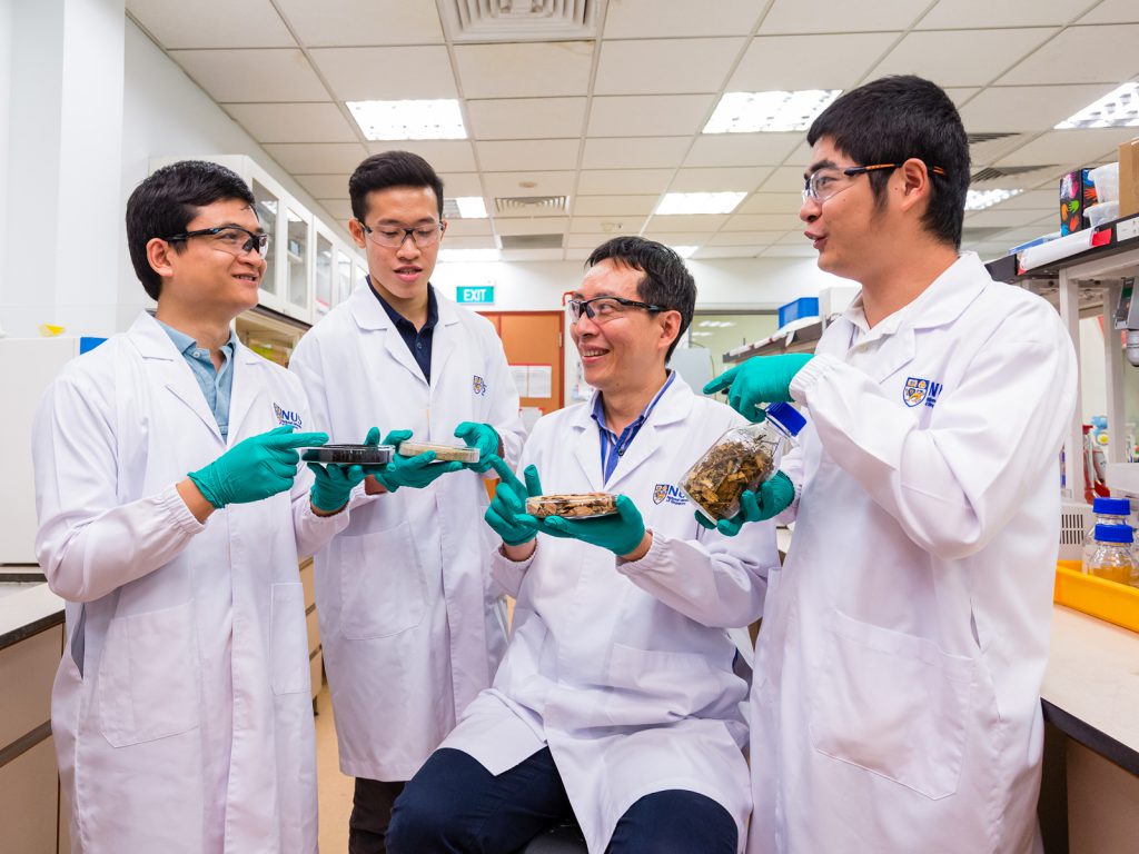 Prof Wang (2nd from right) with team members (from left) Dr Yong Siming, Research Fellow, NUS Environmental Research Institute; 
Mr Ng Wei Cheng, Research Engineer, ChBE; and Shen Ye, PhD student, ChBE