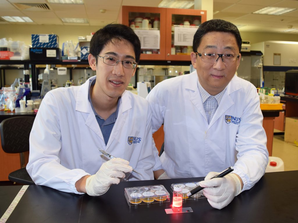 Asst Prof John Ho and Prof Zhang Yong
developed a novel technology to wirelessly deliver light into deep regions of the body to activate light-sensitive drugs. This potentially enables photodynamic therapy to be used to treat a wider range of cancers, such as brain and liver cancer.