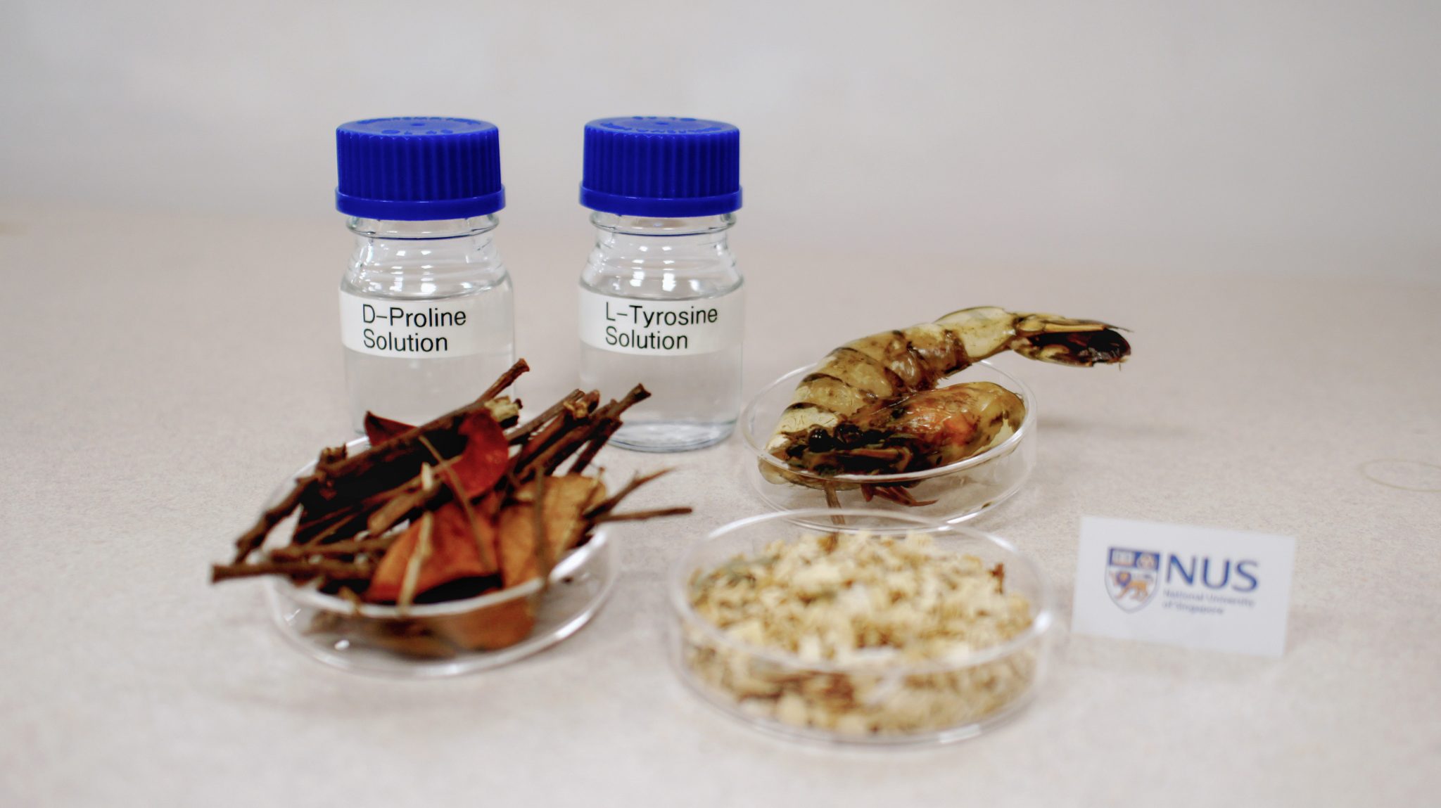 Waste prawn shells and wood chips are two materials that can be converted into high value chemicals.