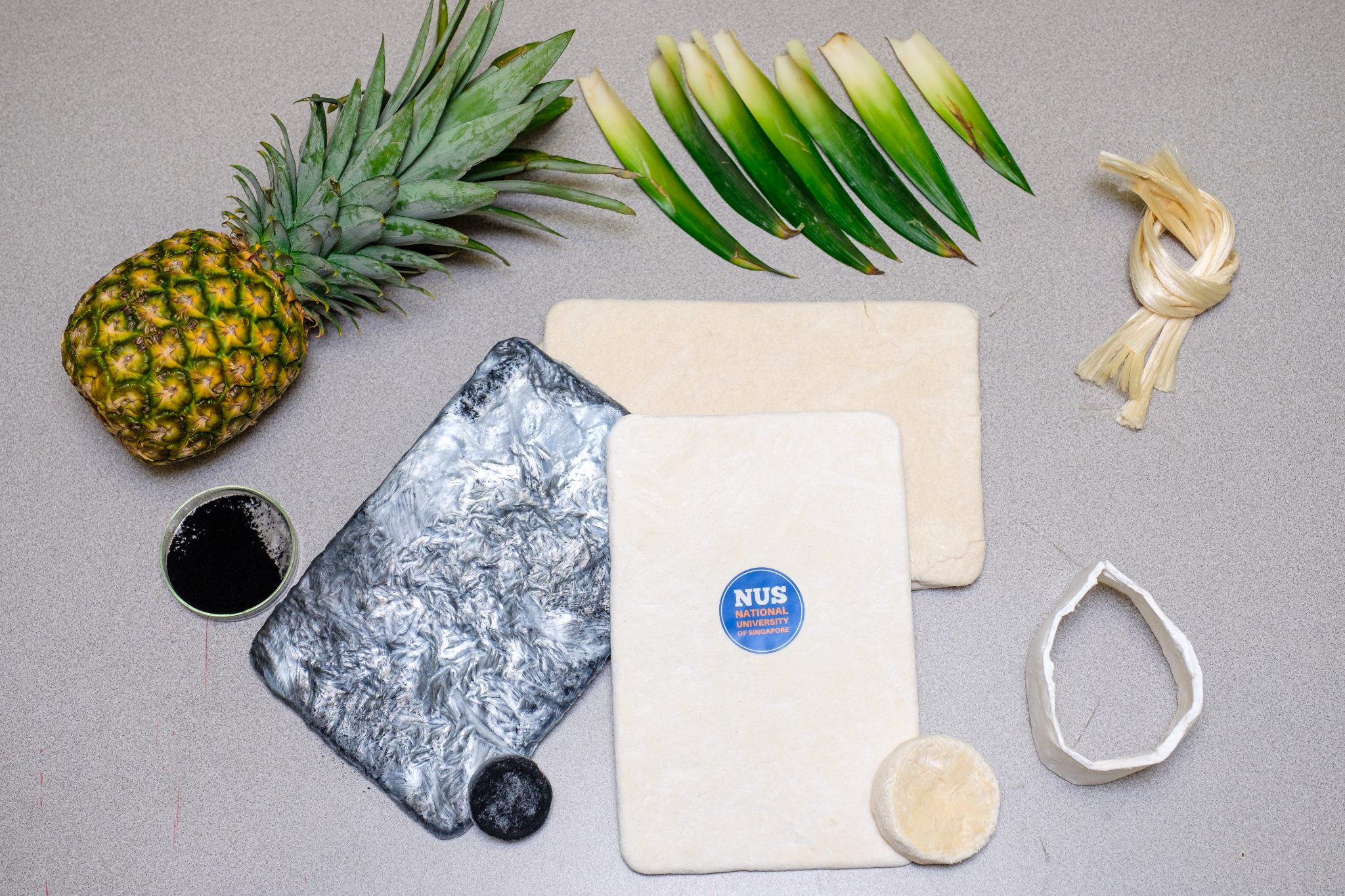 Eco-aerogels made from pineapple leaf fibres have a wide range of applications.