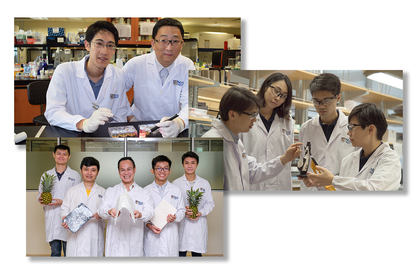 <div>Top left: Assistant Professor John Ho and Professor Zhang Yong, the phototherapy team. Right: Assistant Professor Benjamin Tee and the ACES team. Bottom left: Associate Professor</div><div> Duong Hai Minh and the aerogel team. (Not pictured: The Freezing of Gait Detection team)</div>