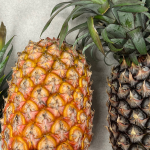 Leaf waste is an abundant and under-utilised byproduct from pineapple production.