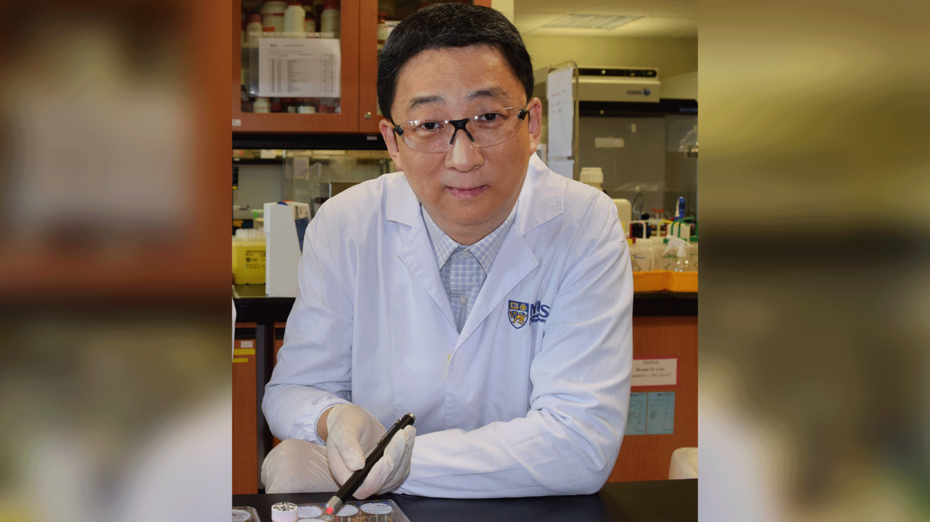 Prof Zhang Yong elected Fellow of Singapore Academy of Engineering