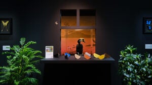 The Nature of Things-02