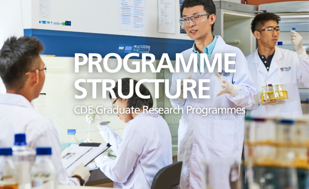 Programme structure - College of Design and Engineering