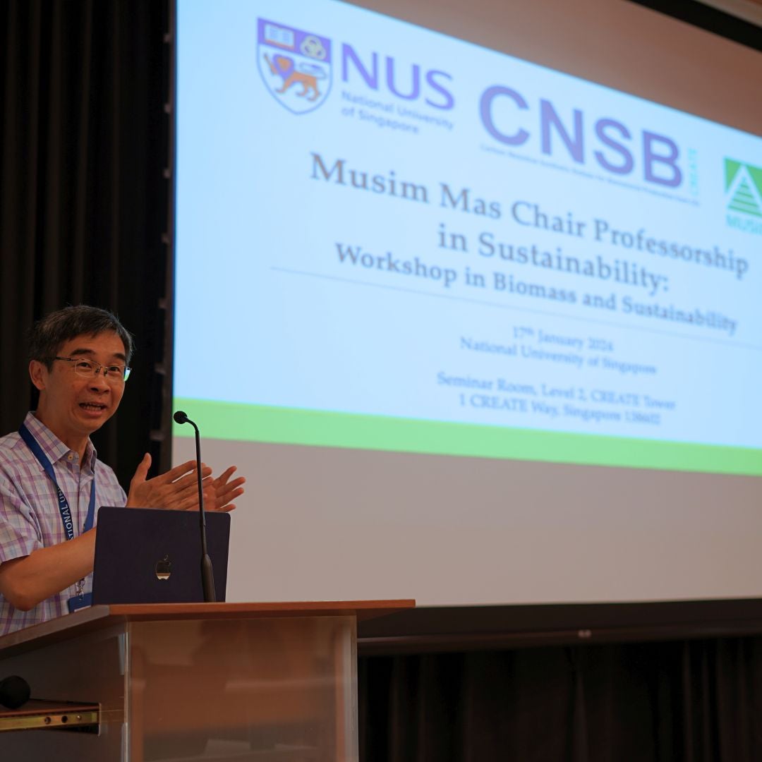 Prof Tong Yen Wah - Musim Mas Fellowship Prof Tong Yen Wah - Musim Mas Fellowship