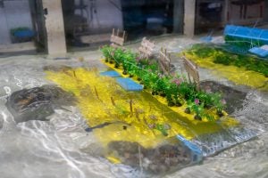 Climate Change & Coastal Protection