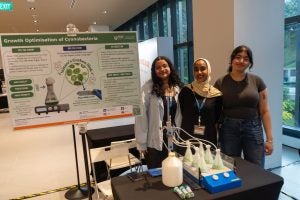 Growth Optimisation of Cyanobacteria