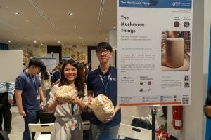 The Mushroom Things