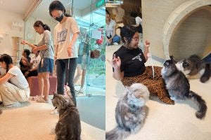 OSL-Cat-ch-A-Break-05