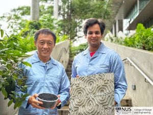 Assoc Prof Kua Harn Wei and Abhimanyu Goel IET