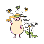 Stay Connected Image