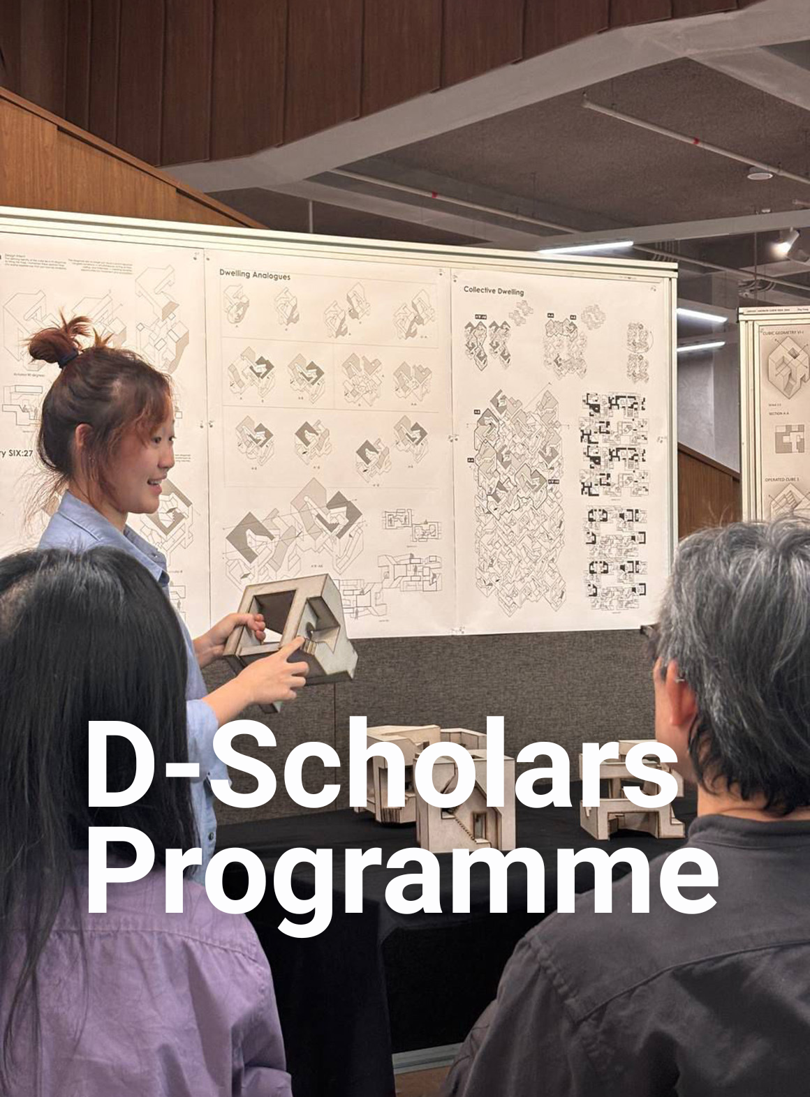 d-scholars-programme-card