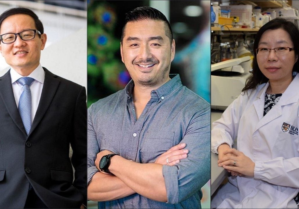 (left to right) Professor Lim Chwee Teck, Professor Dean Ho,  Associate Professor Shao Huilin