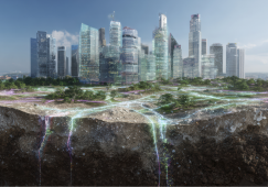 Graphic images in this newsletter were generated using AI and intended only as a visualisation of general concepts or ideas related to the research.