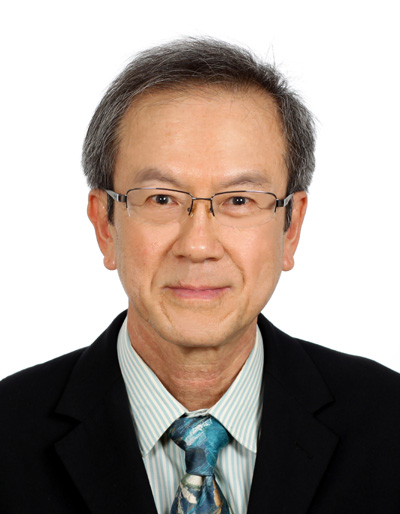 Prof Chua Soo Jin